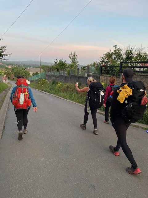 Originele foto van Annemie op dag 36: O Pedrouzo naar Santiago de Compostela