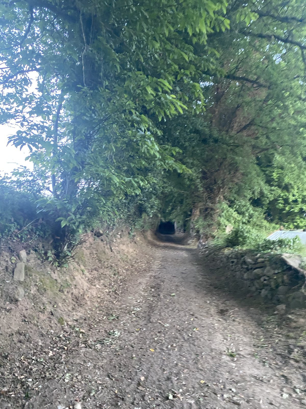 Originele foto van Annemie op dag 33: Sarria naar Ventas de Narón